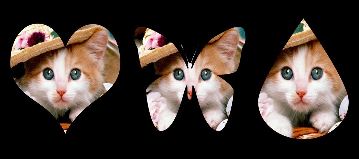 create custom shape image create custom shape image
