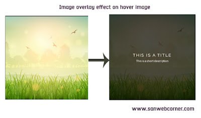 image-overlay-effect-on-hover-image