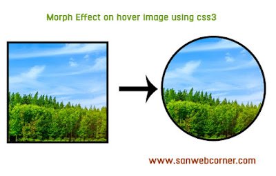 morph-effect-on-hover-image